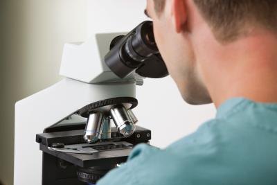 Science student looking at bugs