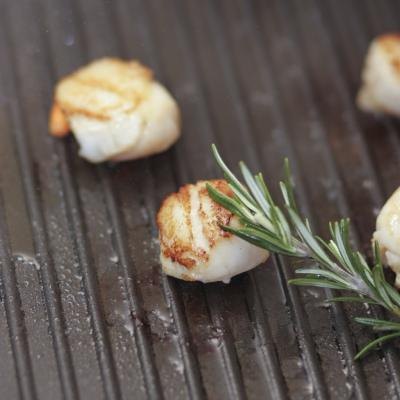 Scallops on a grill with rosemary