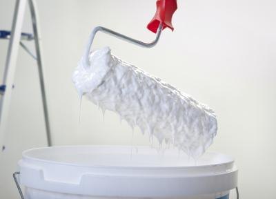 Paint roller and bucket.