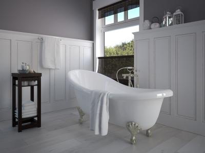 Bathtubs may also be home to silverfish.