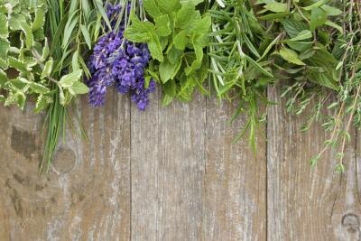 Herbs are known for their anti-viral and anti-fungal properties.