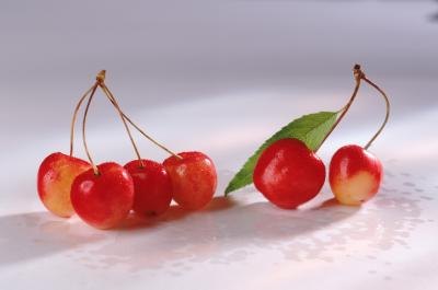 Fresh Rainier cherries on background.