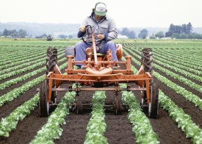 A farmer in a tractor with a plow makes rows.