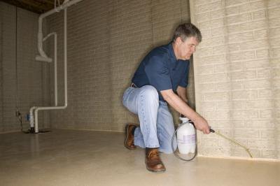 Use insecticides cautiously.