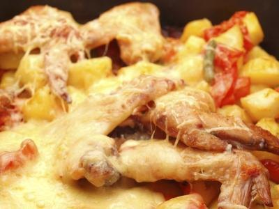 Rigatoni pasta with chicken and melted cheese