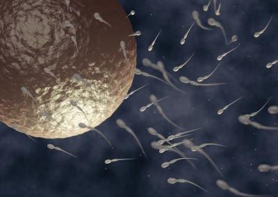 A male can increase his sperm count naturally and effectively.
