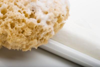 Loofah