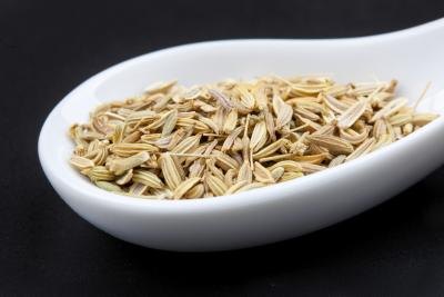Close up of fennel seeds