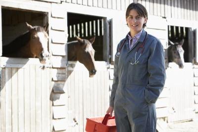 Equine veterinarian starting salary was $41,636