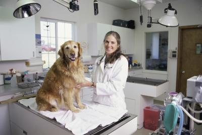 Your dog may not even need surgery.