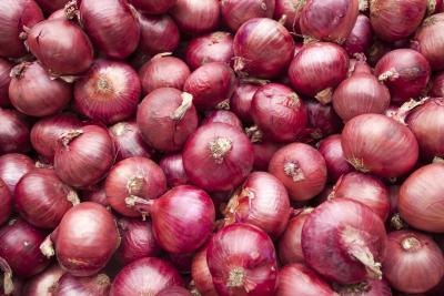 Onions are grown underground and absorb nitrates.