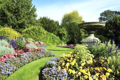 Plant annuals that flower at different times of the year.
