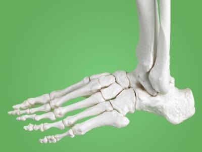 Bones of feet.