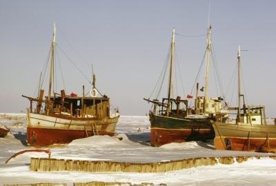 Most sole are caught via trawlers.