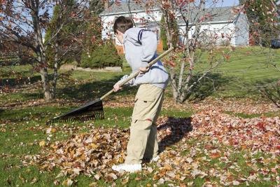 Raking leaves is another way to earn money.