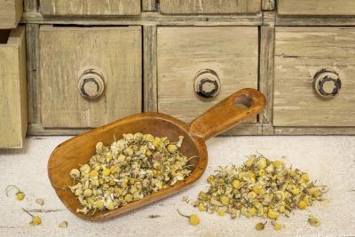 Spoon with dried chamomile