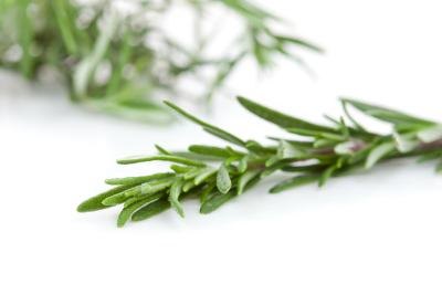 Several herbal remedies exist for increasing estrogen levels.