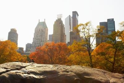Central Park in New York.