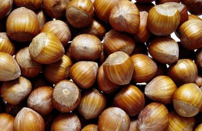 Hazelnuts are high in L-Arginine.