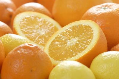 Citrus crops are abundant.