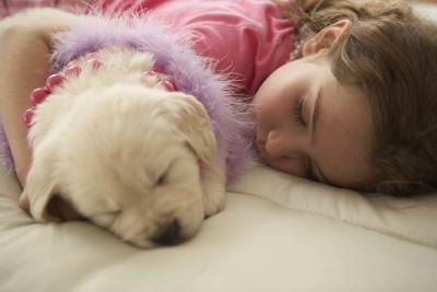 Avoid using ammonia to clean your carpets.