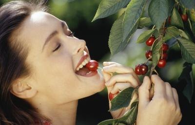 Young woman picking cherries from tree.
