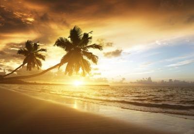 According to the National Weather Service, if the air temperature outside is 96°F and the humidity is 65 percent then the heat index (how hot it really feels) will be 121°F.