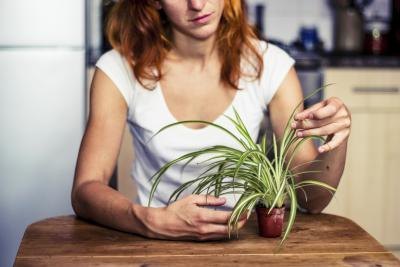 Fertilizing plants helps them grow and get the nutrients they need.