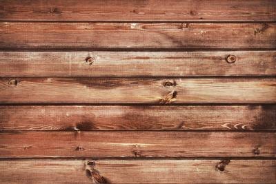 Birch and oak are light-colored hardwoods that are of major importance to woodworkers.