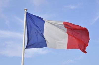 France has a mixed economy.