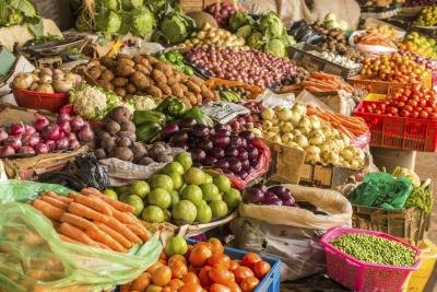 Plants are capable of producing vitamins.