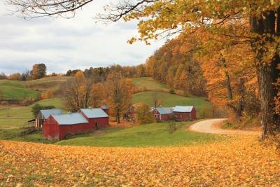 An autum landscape of a farm in Vermont.
