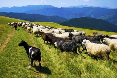 The private sector includes agriculture.