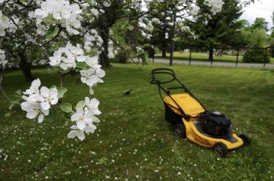 Lawn mower in a vast yard with blooming trees