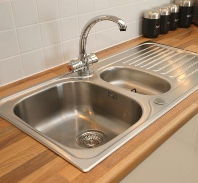Silverfish can be found in sinks.