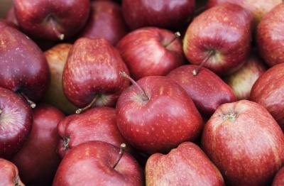 Red Delicious apples are one of the most largely grown varieties in the United States.