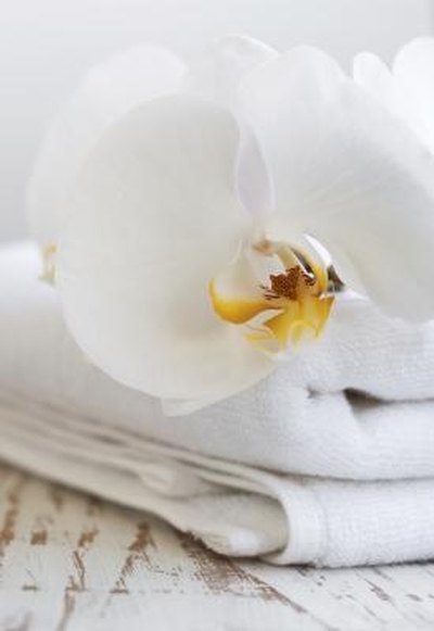 Folded towel with orchid