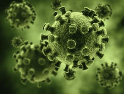 Influenza virus.