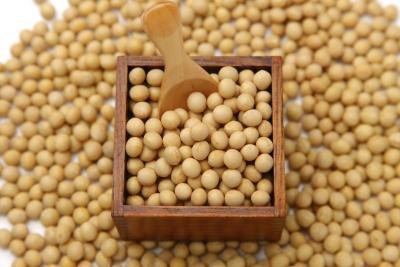 Dried soya beans