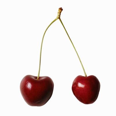 Close up of cherries.
