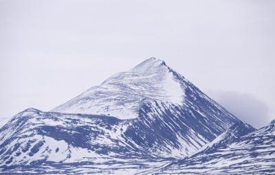 Rocky Mountain Fever gets its name from the area in which it was first identified.