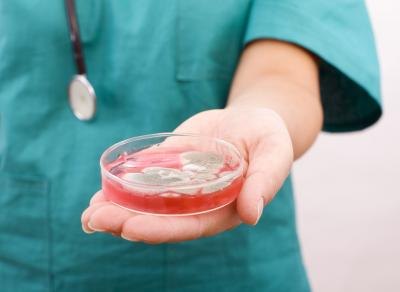 All mold found in the home should be tested for toxicity and removed promptly by a professional.