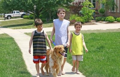 Walking neighborhood dogs is another opportunity.