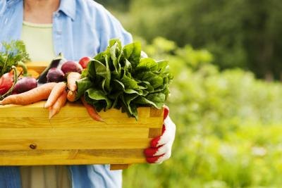 Avoid paying higher prices for fertilizers just because they contain added vitamins.