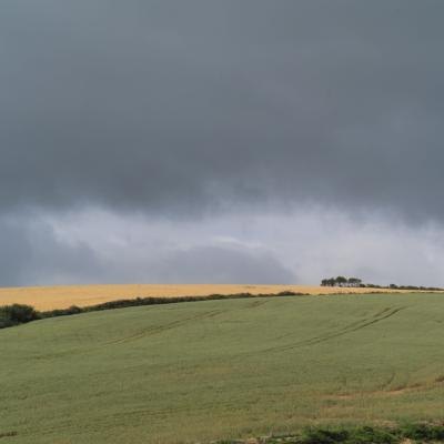Rain is highest in January and February.