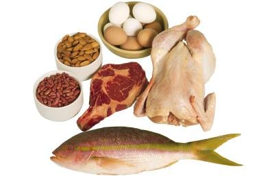 High protein foods.