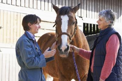 Large animal veterinarians treat horses and other farm and ranch animals.