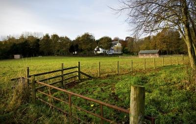 A gate and field paddock on a farm.