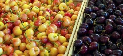 There are many different varieties of cherries.