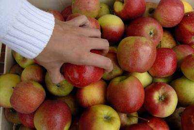 Pink Lady apples are yellow with a pink hue and have a tangy yet sweet flavor.